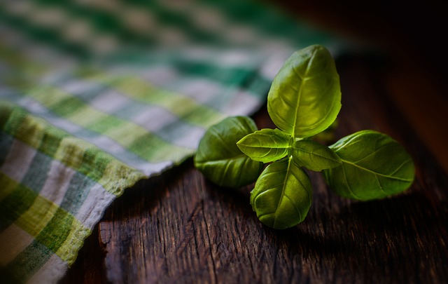 Kvalitní kratom